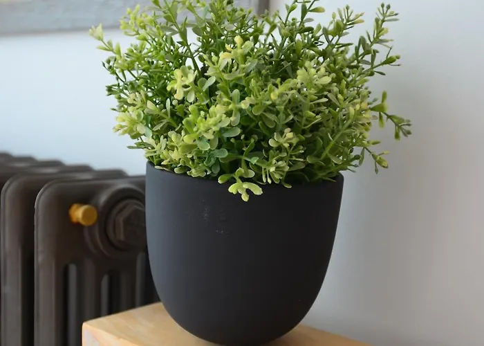 Apartment La Au Piano